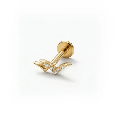 Labret de pajarillos de titanio 