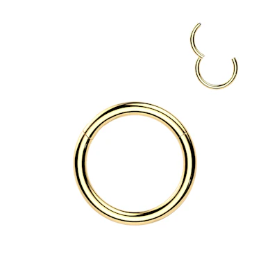 Aro con bisagra de titanio chapado en oro de 24K
