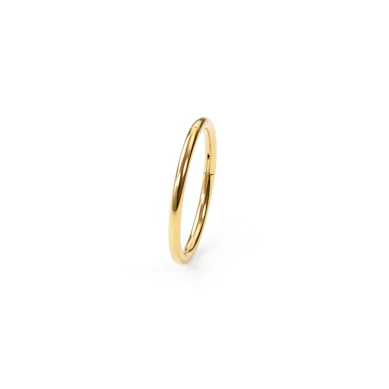 Aro con bisagra de titanio chapado en oro de 24K