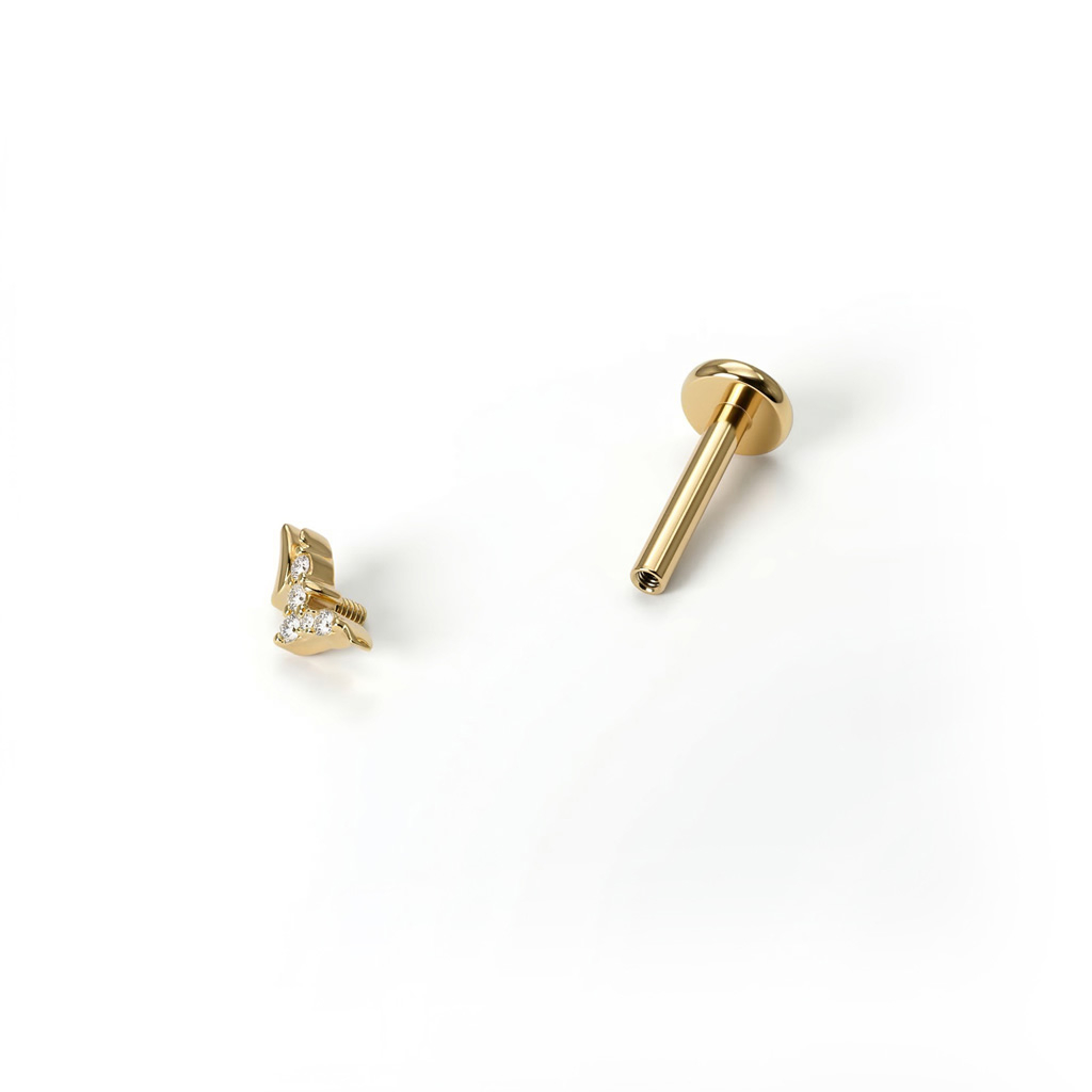 Labret de pajarillos de titanio 