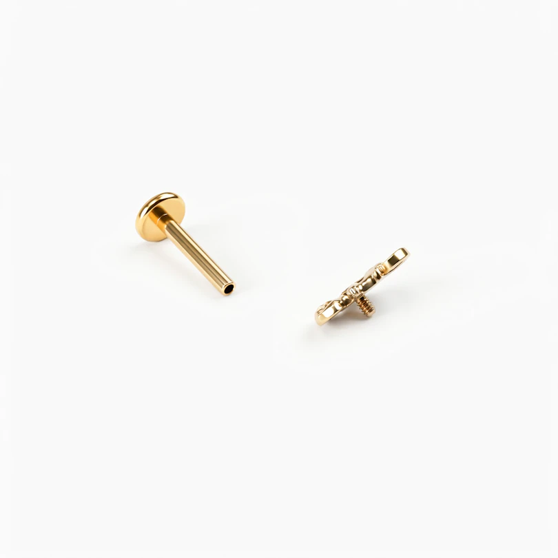 Labret camaleón de titanio