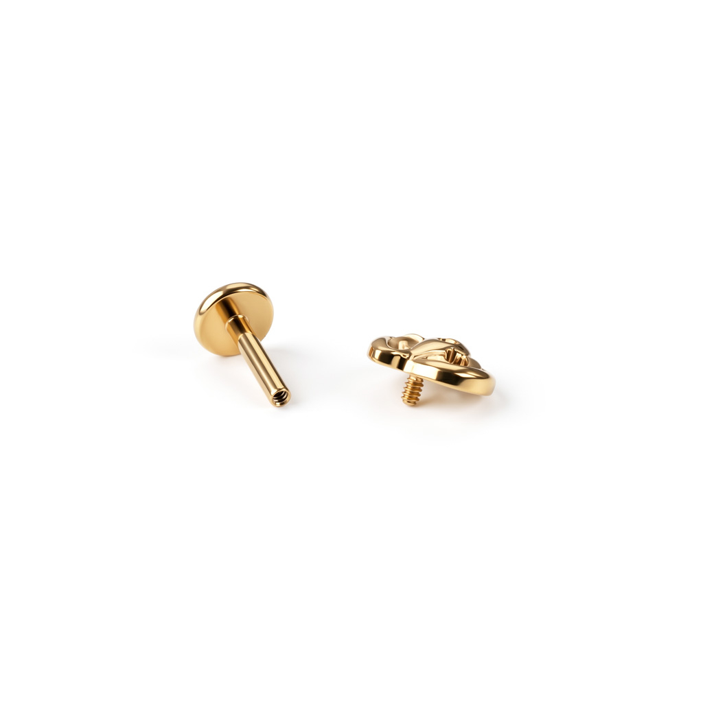 Labret de calabaza en titanio-Dorado