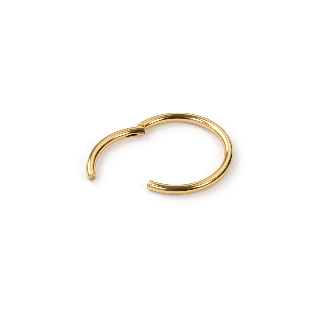 Aro con bisagra de titanio chapado en oro de 24K